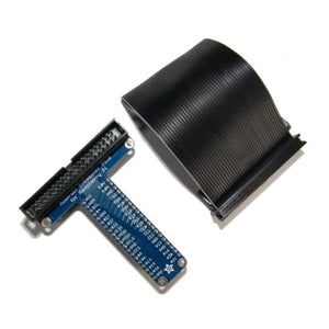 Wedge and Ribbon Cable